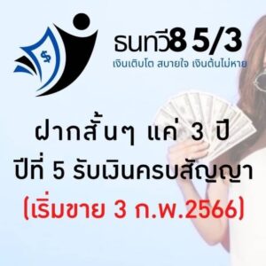 Read more about the article ธนทวี 8 5/3
